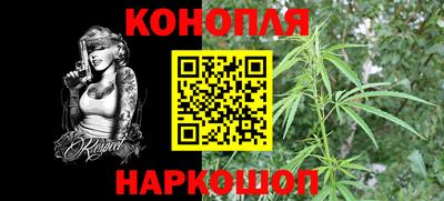 сатива Нальчик
