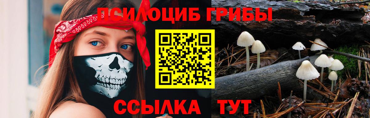 Галлюциногенные грибы ЛСД  Вход с VPN  цены   Азнакаево 